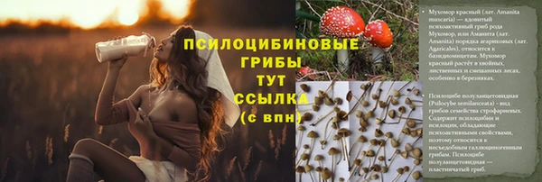кокаин Вяземский
