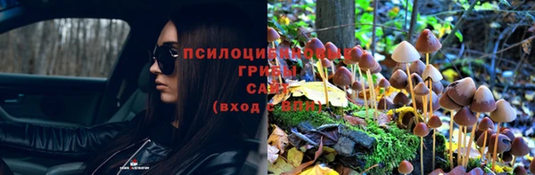 дживик Вязники